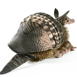 Full Body Armadillo Puppet by Folkmanis Puppets