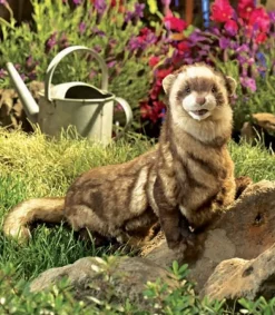 Full Body Ferret Puppet by Folkmanis Puppets
