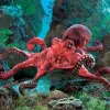 Full Body Octopus Puppet by Folkmanis Puppets