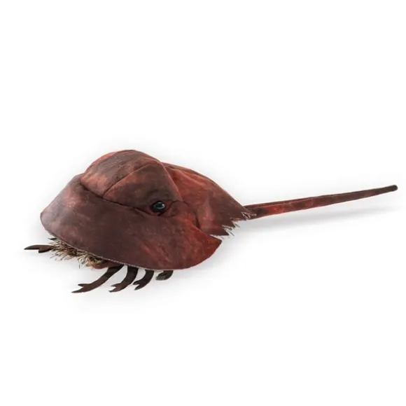 Horseshoe Crab Hand Puppet by Folkmanis Puppets