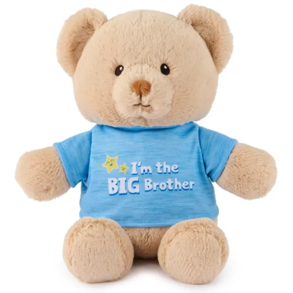 I'm the Big Brother Teddy Bear with Blue Shirt by Gund