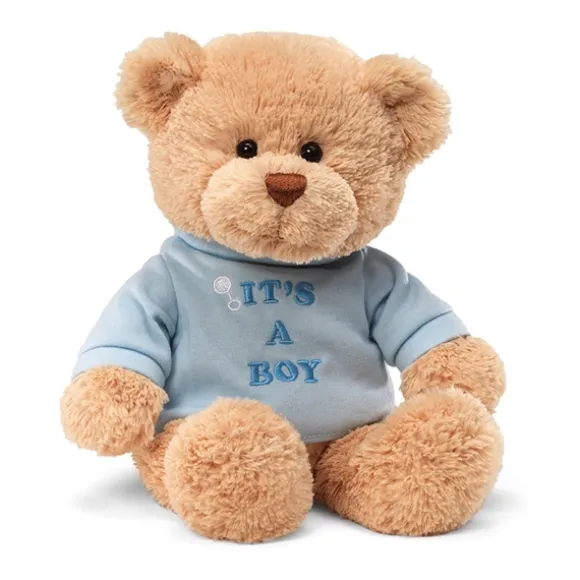 It's a Boy Teddy Bear with Embroidered Blue Shirt by Gund