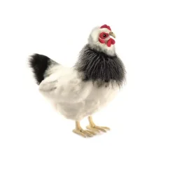 Lifelike Black and White French Hen Stuffed Animal by Hansa