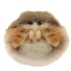 Lifelike Jumping Spider Stuffed Animal by Hansa