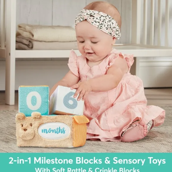 Milestones & Moments Baby Photo Prop Soft Blocks by Gund