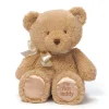 My First Teddy Baby Safe Stuffed Bear by Gund