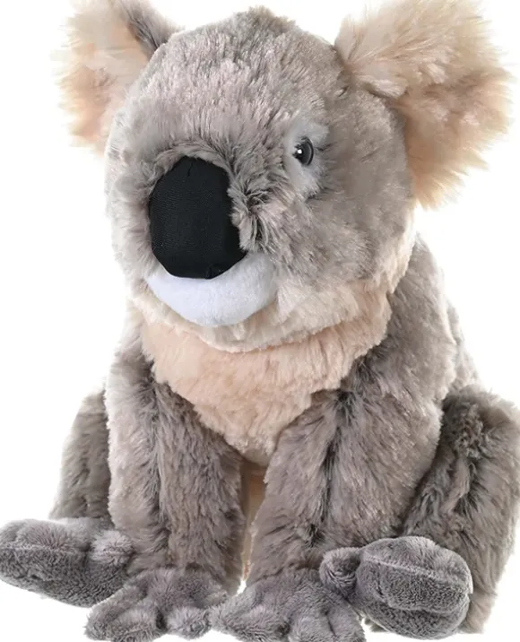 Plush Koala Bear 11 Inch Stuffed Animal Cuddlekin By Wild Republic
