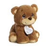Precious Moments Charlie Bear Stuffed Animal by Aurora